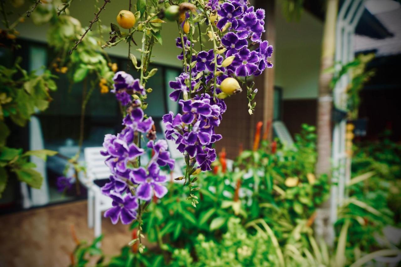 Canary Bungalow Phu Quoc Extérieur photo